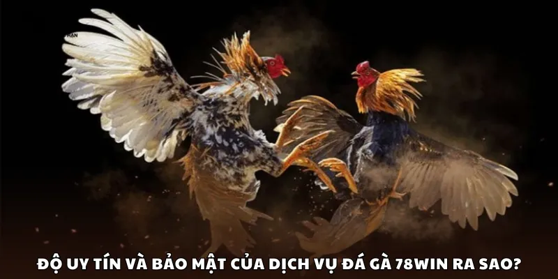 Độ uy tín và bảo mật của dịch vụ đá gà 78Win ra sao?