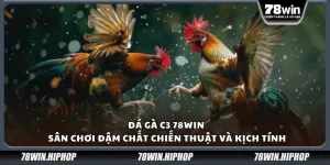 Đá gà C3 78Win – Sân chơi đậm chất chiến thuật và kịch tính