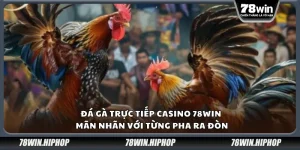 Đá gà trực tiếp casino 78Win – Mãn nhãn với từng pha ra đòn