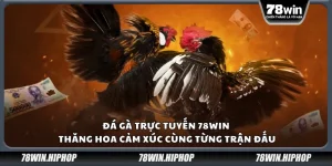 Đá gà trực tuyến 78Win - Thăng hoa cảm xúc cùng từng trận đấu