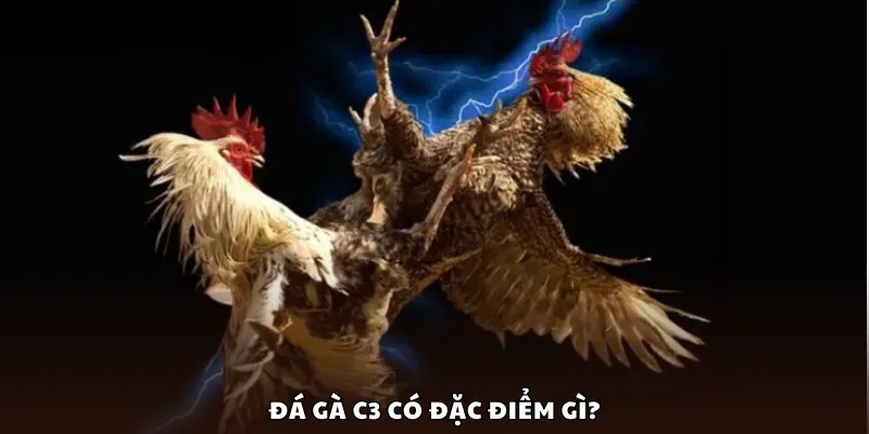 Đá gà C3 có đặc điểm gì?