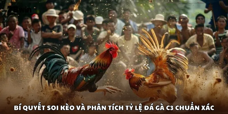 Bí quyết soi kèo và phân tích tỷ lệ đá gà C3 chuẩn xác
