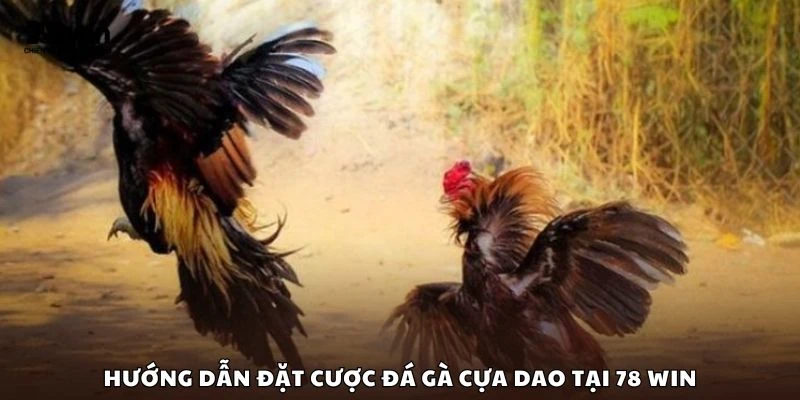 Hướng dẫn đặt cược đá gà cựa dao tại 78 win