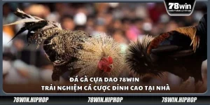 Đá gà cựa dao 78win - Trải nghiệm cá cược đỉnh cao tại nhà