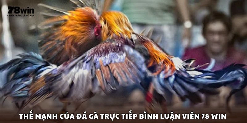 Thế mạnh của đá gà trực tiếp bình luận viên 78 win