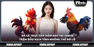 Đá gà trực tiếp hôm nay tại 78Win – Trận đấu kịch tính không thể bỏ lỡ