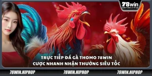 Đá gà trực tiếp Thomo 78Win – Cược nhanh nhận thưởng siêu tốc