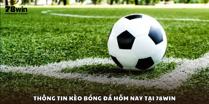 Khái quát về kèo nhà cái hôm nay