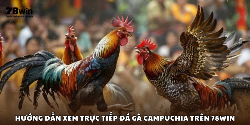 Hướng dẫn truy cập đá gà Campuchia từ 78Win