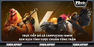 Trực tiếp đá gà Campuchia 78Win – Xem kịch tính cược chuẩn từng trận