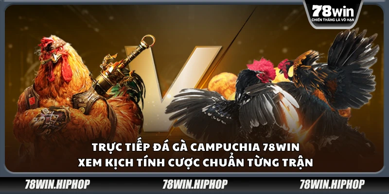 Trực tiếp đá gà Campuchia 78Win – Xem kịch tính cược chuẩn từng trận