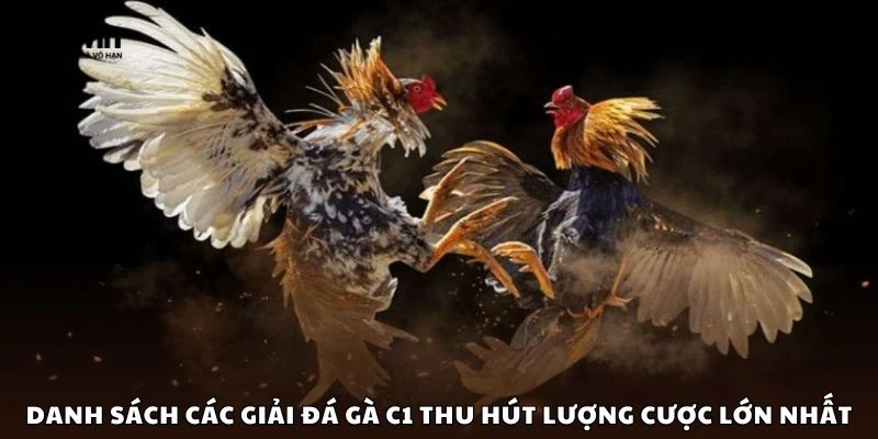Danh sách các giải đá gà C1 thu hút lượng cược lớn nhất
